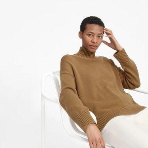 Everlane Square Turtleneck